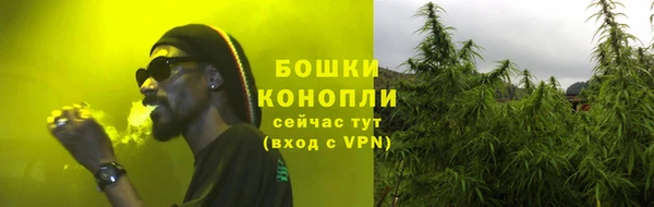 твердый Богородск
