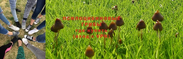дживик Баксан