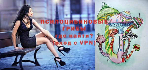 дживик Ростов