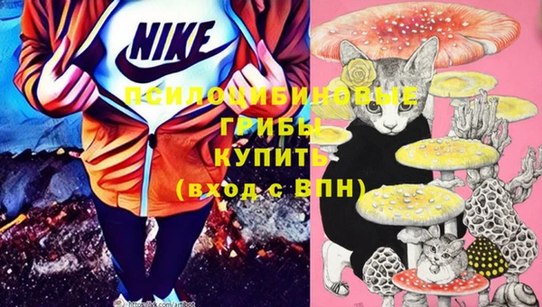 молекула духа Беломорск