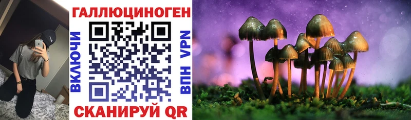 Псилоцибиновые грибы Cubensis  наркотики  кракен ONION  Сковородино 